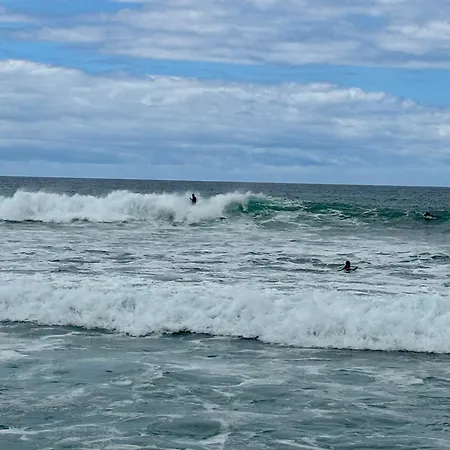 Surf
